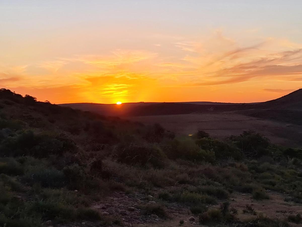 Indalu Game Reserve Boggomsbaai Esterno foto