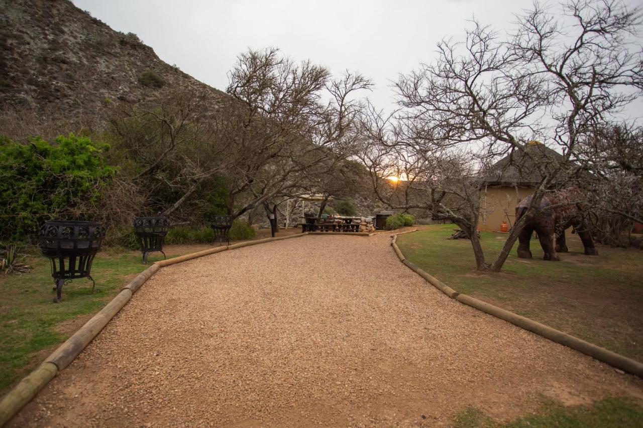 Indalu Game Reserve Boggomsbaai Esterno foto